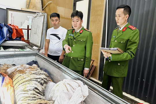 Thanh Hóa: Khởi tố 2 bị can trong đường dây mua bán hổ trái phép trị giá gần 2 tỷ đồng