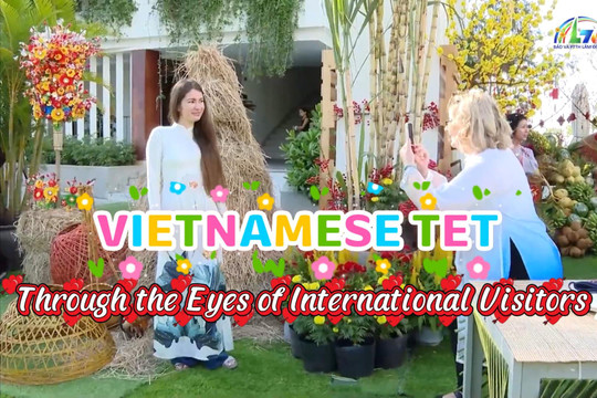 Vietnamese Tet Through the Eyes of International Visitors