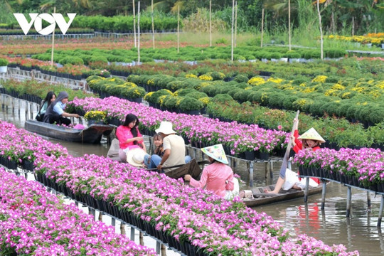 Sa Đéc (Đồng Tháp): Khám phá 'vương quốc' hoa kiểng trăm tuổi lớn nhất miền Tây