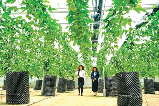 Applying Science and Technology to Enhance Production Value