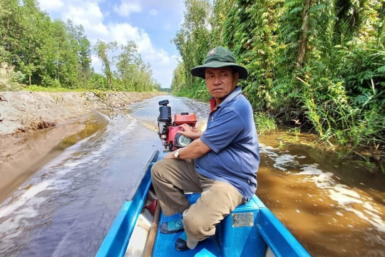 Cà Mau: Trải nghiệm nghề ăn ong và thưởng thức mật ngọt giữa rừng U Minh Hạ