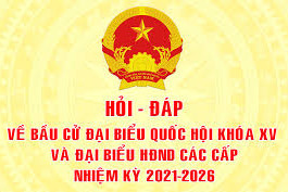 Những phiếu bầu cử nào là phiếu bầu cử hợp lệ?