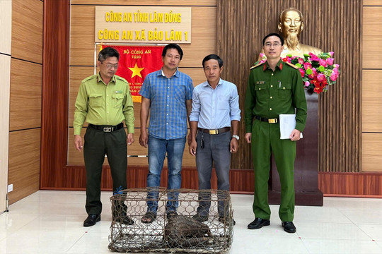 Người dân Lâm Đồng tự nguyện giao nộp cá thể tê tê quý hiếm