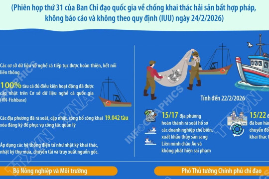 Rà soát, đánh giá toàn diện việc thực hiện các nhiệm vụ chống khai thác IUU