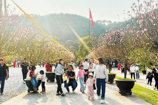 Ngành du lịch nối dài đà tăng trưởng tích cực