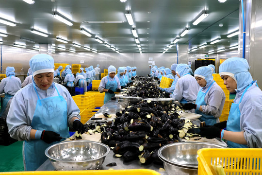 Vibrant production momentum at industrial parks in Lam Dong at the begining of the Lunar New Year