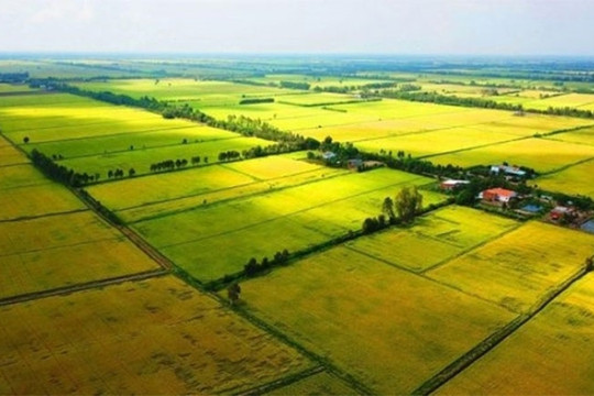 TOÀN VĂN: Quyết định 633/QĐ-BNNMT về tiếp nhận, xử lý phản ánh vi phạm quản lý, sử dụng đất đai