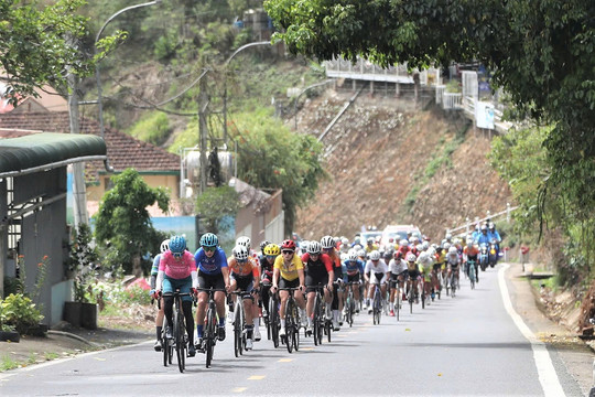 Biwase Tour of Vietnam 2026 will arrive in Lam Dong on March 6th
