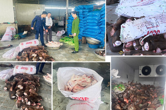 Thanh Hóa: Thu giữ gần 6 tấn thực phẩm không rõ nguồn gốc bốc mùi hôi thối