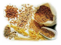 Giá đậu tương tăng lên 11,65 USD/bushel, đạt mức cao nhất trong 3 tháng qua