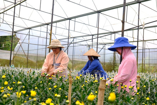 Đồng bào DTTS Tà Nung làm giàu từ nông nghiệp