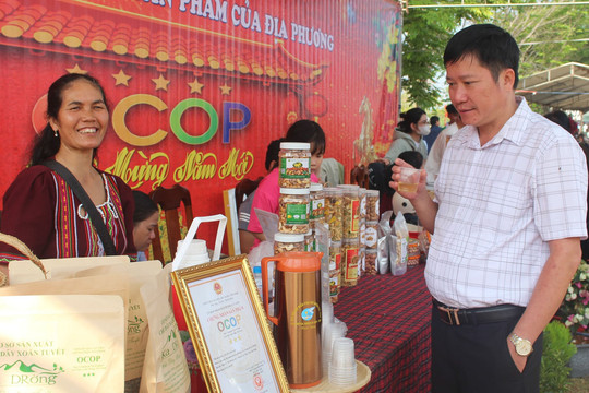 Tạo sản phẩm OCOP từ cây dược liệu chè dây rừng