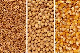 Bộ Công Thương công bố bản tin thị trường nông lâm thủy sản ngày 27/02/2026
