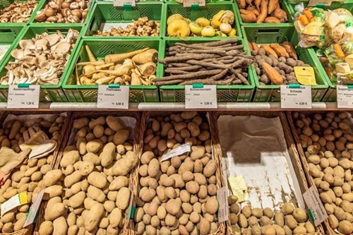 Ngành khoai tây EU rơi vào bế tắc vì dư cung: Giá bán năm 2025 lao dốc 22%