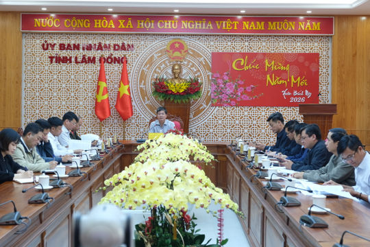 Accelerating Land Clearance for the Tan Phu – Bao Loc and Bao Loc – Lien Khuong Expressways