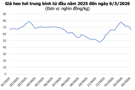 Giá heo hơi hôm nay 6/3: Giảm sâu nhất 2.000 đồng/kg, thị trường rời mốc 70.000 đồng