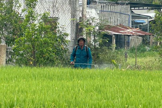 Hướng đi hiệu quả ở xã Hàm Thuận