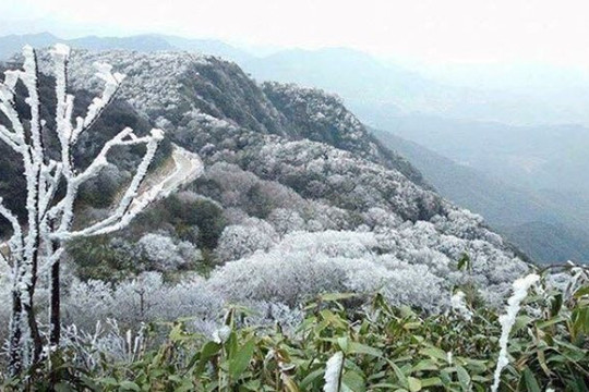 Miền Bắc đón không khí lạnh từ ngày 09/03/2026: Bắc Bộ và Thanh Hóa chuyển rét, có mưa dông