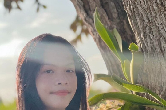Tài năng của ái nữ nhà Phạm Quỳnh Anh và Phan Đinh Tùng: Người là thần đồng, người có tranh treo tại Louvre