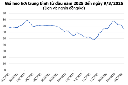 Giá heo hơi hôm nay 9/3: Giảm đồng loạt trên cả nước, mức thấp nhất 61.000 đồng/kg