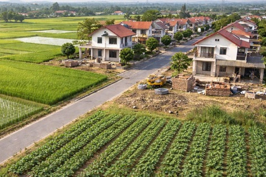 Chủ cũ vi phạm đất đai, chủ mới có phải khắc phục hậu quả?