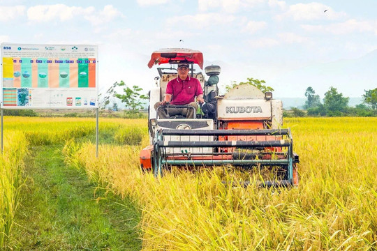 Dấu ấn phát triển kinh tế vùng đồng bào DTTS ở Bắc Bình