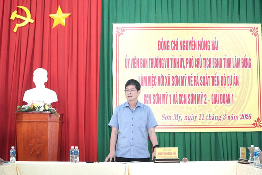 Lâm Đồng rà soát tiến độ triển khai KCN Sơn Mỹ 1 và Sơn Mỹ 2