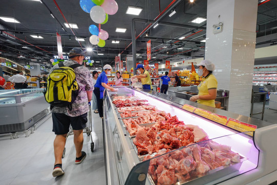 Thuế cơ sở 6 tăng thu và kéo giảm nợ thuế