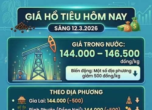 Giá tiêu hôm nay 12/3: Nguồn cung mới bổ sung, giá nội địa dao động 144.000-146.500 đồng/kg