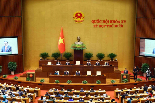 France-based expert suggests elevating parliamentary diplomacy to support national development