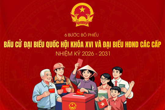 6 bước bỏ phiếu bầu cử