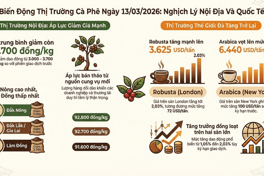 Giá cà phê hôm nay 13/3/2026 giảm tại Tây Nguyên, thế giới vẫn tăng