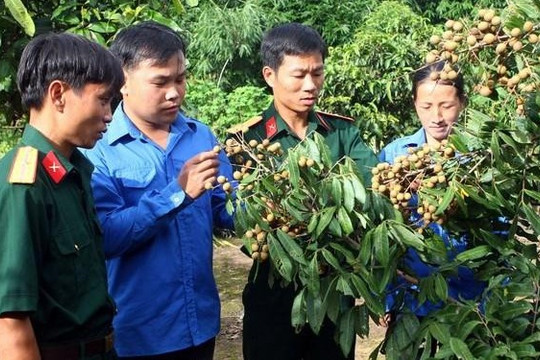 Trí thức trẻ Đề án 500 có được tiếp nhận vào công chức?