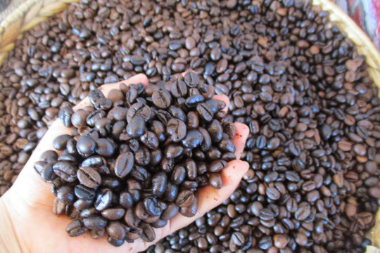 Giá cà phê hôm nay 14/3/2026 đồng loạt giảm 3500 đồng/kg