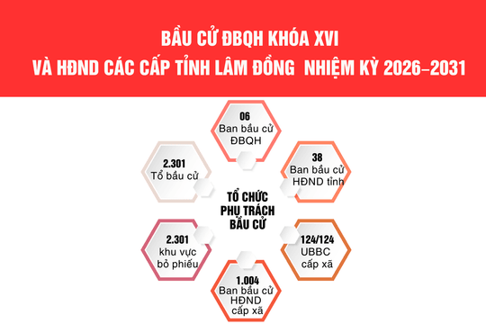 Cử tri Lâm Đồng bầu 17 đại biểu Quốc hội, 85 đại biểu HĐND tỉnh và 2.949 đại biểu HĐND cấp xã