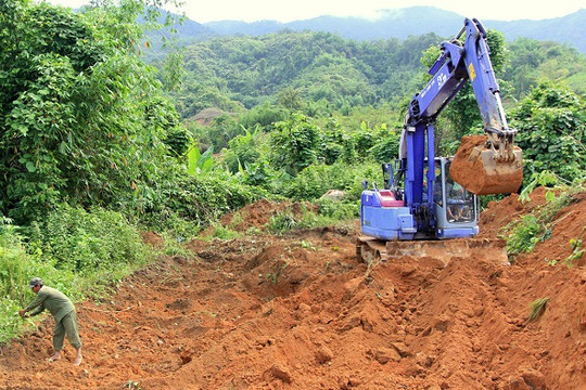Đất khai hoang nằm trong quy hoạch rừng có được cấp Giấy chứng nhận?