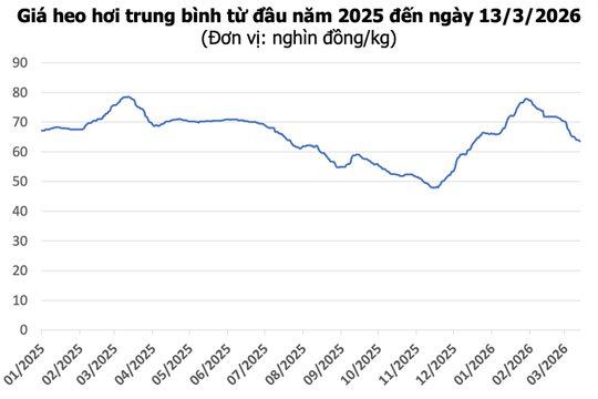 Giá heo hơi hôm nay 13/3: Miền Bắc tăng nhẹ, miền Nam giảm đến 2.000 đồng/kg