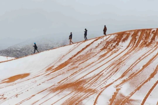 Sahara: Ngỡ ngàng hiện tượng tuyết phủ trắng sa mạc nóng nhất thế giới tại Algeria