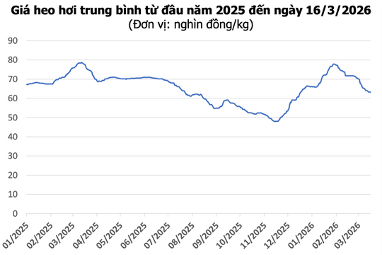 Giá heo hơi hôm nay 16/3: Thị trường đi ngang, cao nhất 66.000 đồng/kg