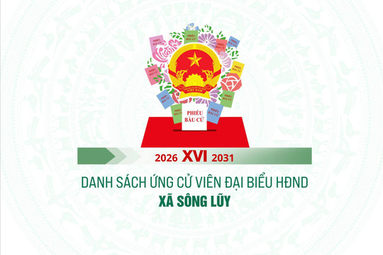 Danh sách những người ứng cử đại biểu HĐND xã Sông Lũy nhiệm kỳ 2026-2031
