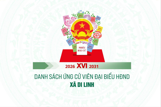 Danh sách những người ứng cử đại biểu HĐND xã Di Linh nhiệm kỳ 2026-2031