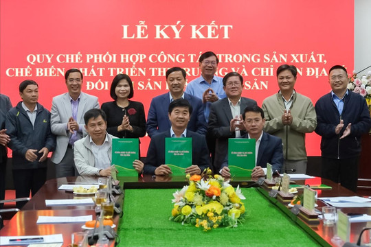 Lâm Đồng liên kết phát triển nông sản gắn chỉ dẫn địa lý
