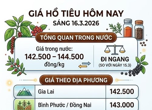 Giá tiêu tuần đến ngày 16/3: Thị trường nội địa giảm 2.000 đồng/kg, Thái Lan tăng nhập khẩu