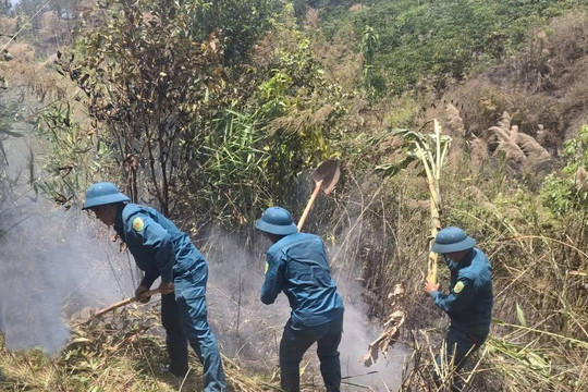 Lực lượng quân sự địa phương kịp thời khống chế vụ cháy rừng ở Tân Hội