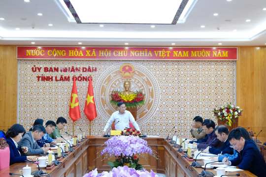 Lâm Đồng đẩy nhanh tiến độ Tổng điều tra kinh tế năm 2026