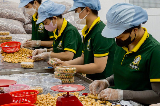 Cách xác định sản phẩm ‘chỉ qua sơ chế thông thường’ để tính thuế GTGT