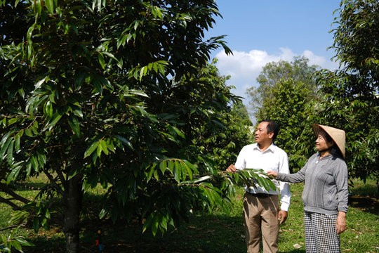 Hiệu quả chuyển đổi sản xuất, kinh doanh giỏi ở Đạ Tẻh 2