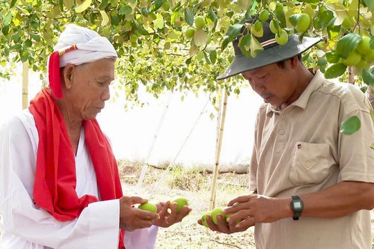 Phát huy hiệu quả chính sách dân tộc tại xã Tuy Phong