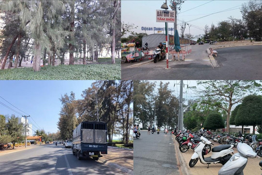 Vì sao bãi giữ xe ở công viên Đồi Dương thua lỗ?