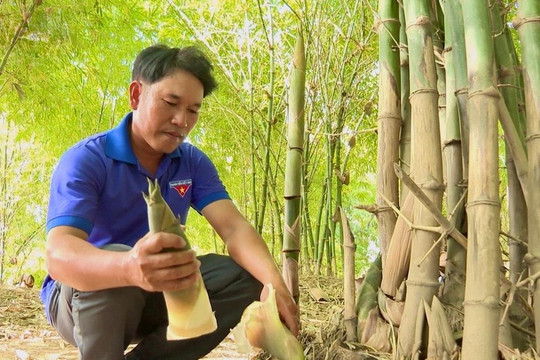 Những đảng viên DTTS tiên phong làm kinh tế